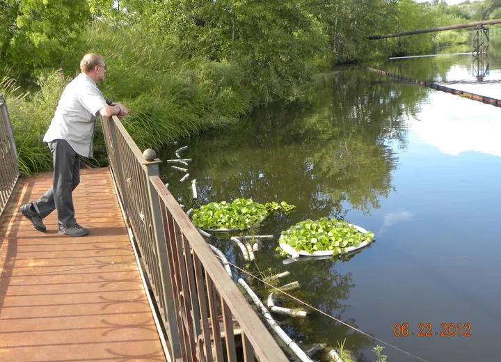 Pond on the Vyazovka River (Nizhniy Tagil city)