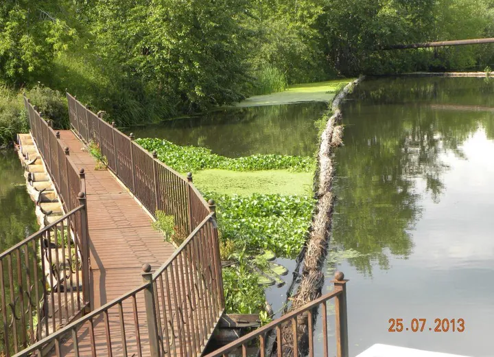 Pond on the Vyazovka River (Nizhniy Tagil City)