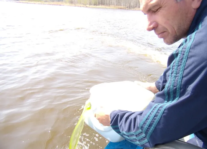 Nizhny Tagil Municipal Pond (algolization after river flood)
