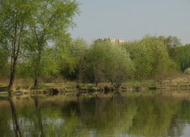 Nizhny Tagil Municipal Pond. Spot of introduction