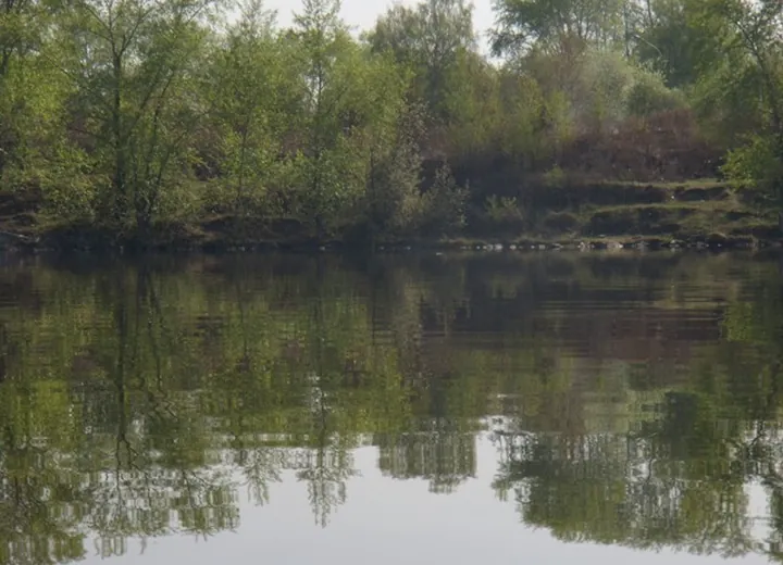 Nizhny Tagil Municipal Pond. Spot of introduction of Chlorella (May 2010)