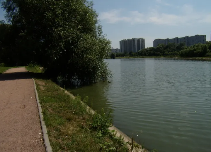 Altufievsky pond in Moscow
