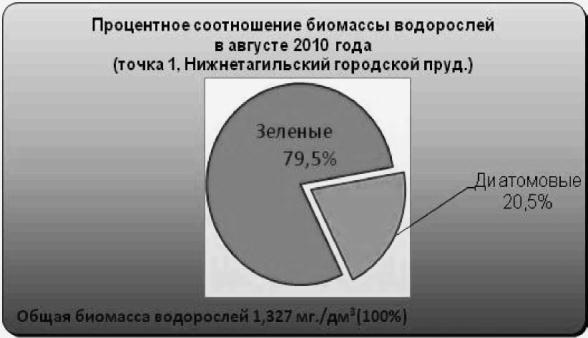 Биологическая реабилитация Нижнетагильского городского пруда методом коррекции альгоценоза в 2010 – 2012 гг.
