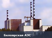 «Журналистский десант» попробовал блюда из рыбы, выращенной на Белоярской АЭС
