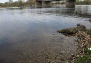 Фрактальный анализ биологической реабилитации водных объектов методом коррекции альгоценоза
