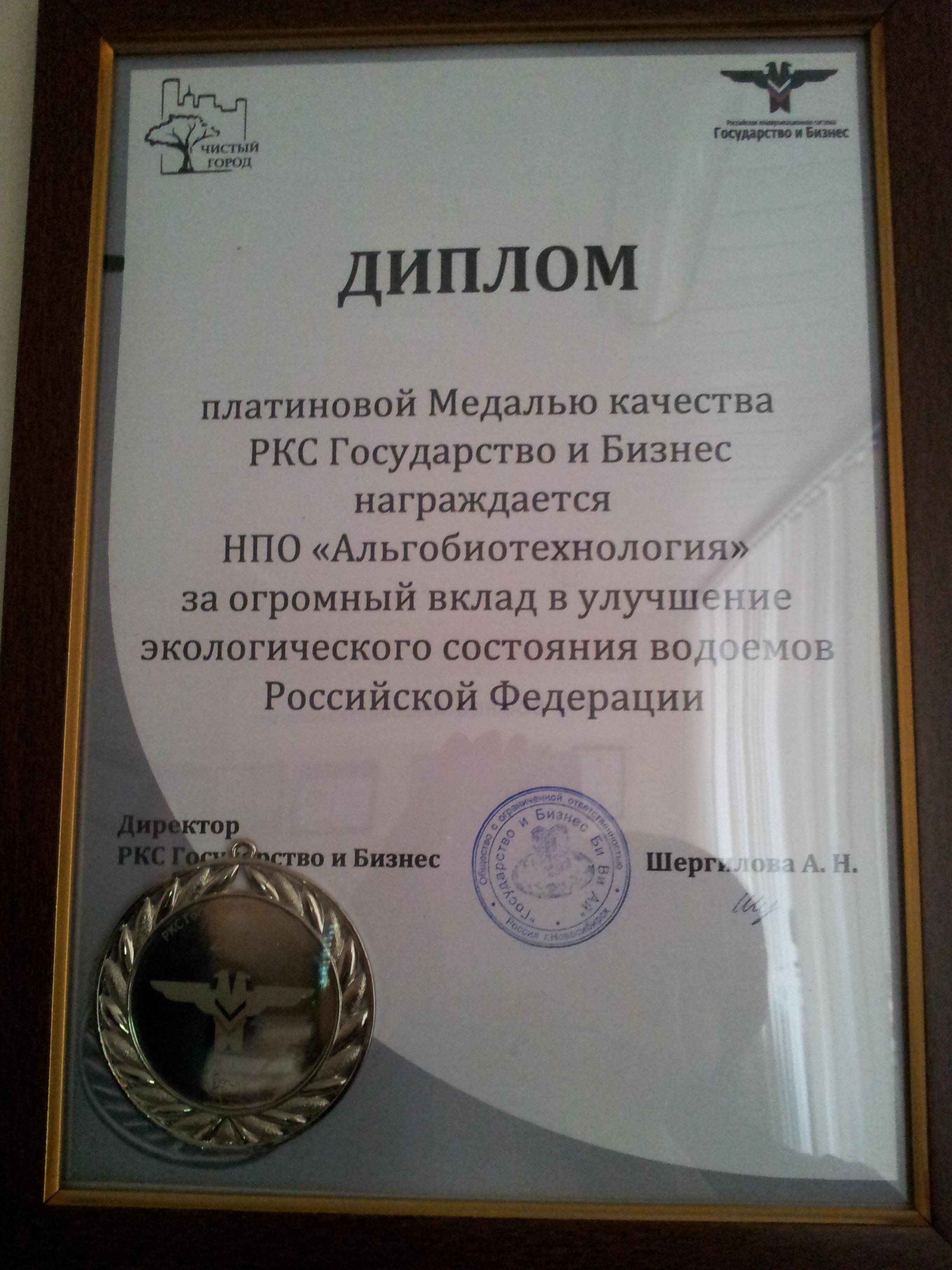 Чистый город - 2011