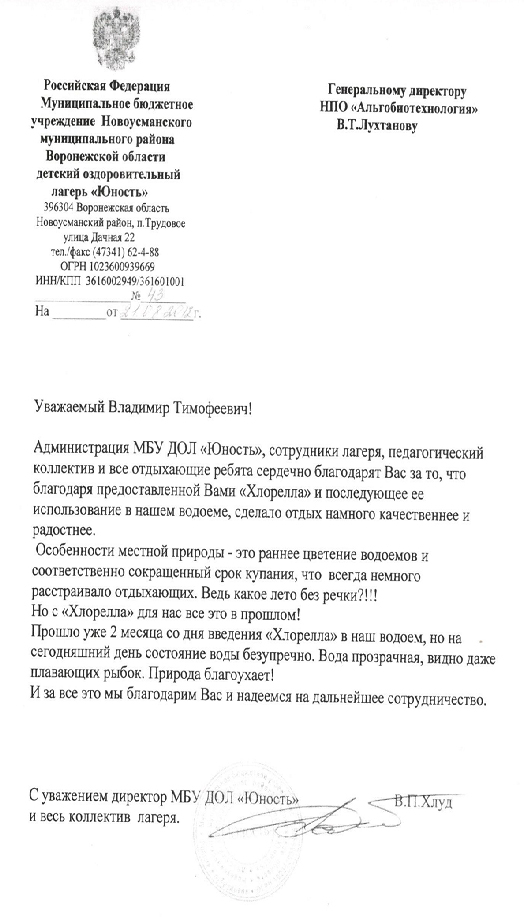 Отзыв детского оздоровительного лагеря