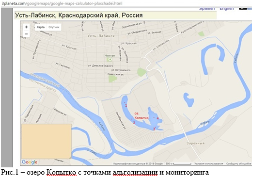 Об опыте проведения биологической реабилитации озера Копытко методом коррекции альгоценоза в 2016 году