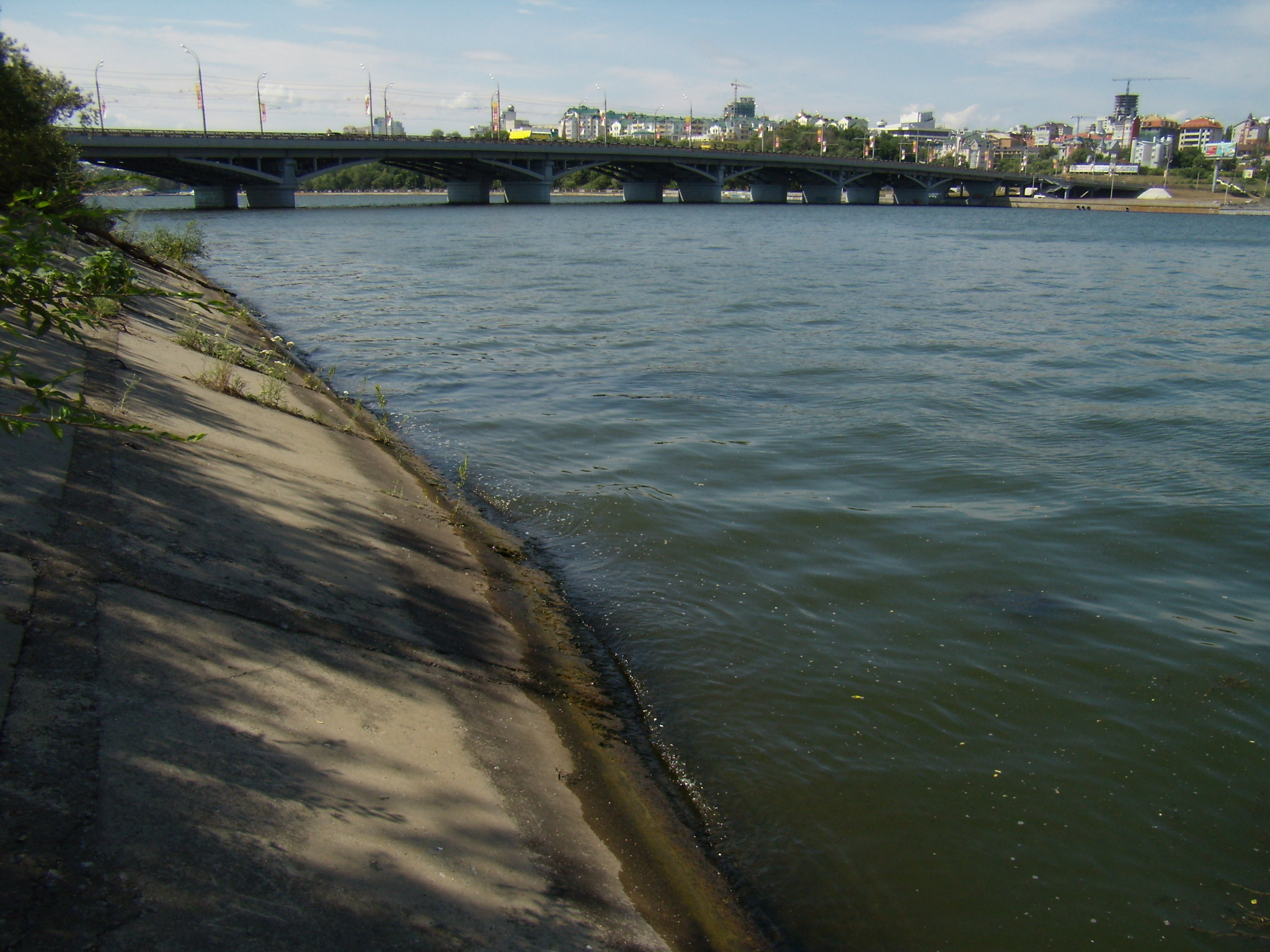 Воронежское море спасут водоросли
