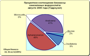 Матырское водохранилище 2010