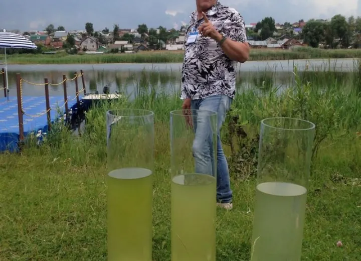 Сравнение воды