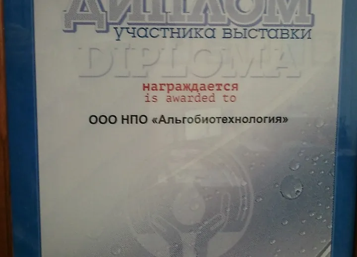 Документы, награды и отзывы