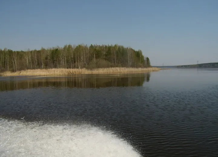 Галерея №2