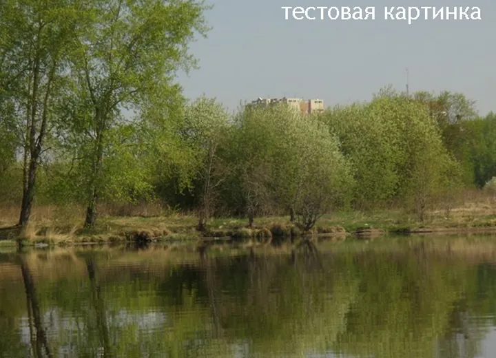 Тестовая галерея