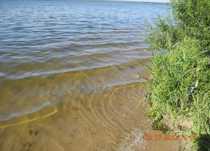Состояние Матырского водохранилища(4 года альголизации) г. Липецк.
